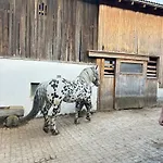 Sieglhub - -