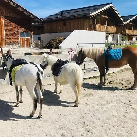 Sieglhub - - Hotel Flachau