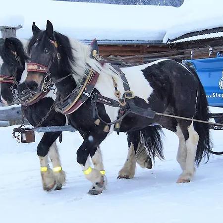 Hotel Sieglhub - - 3*