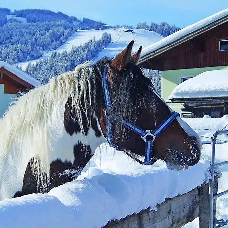 Sieglhub - - Flachau