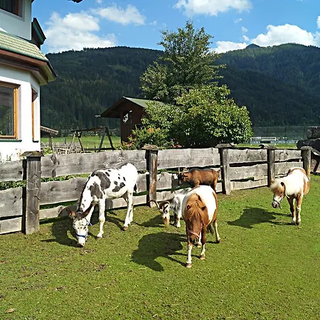 Sieglhub Chalets - Appartements - Hotel