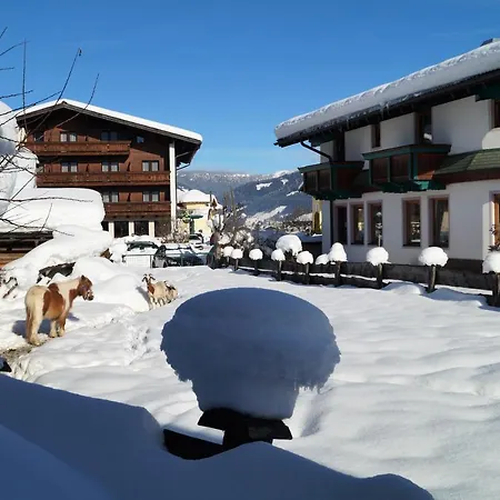 Sieglhub Chalets - Appartements - Hotel Flachau