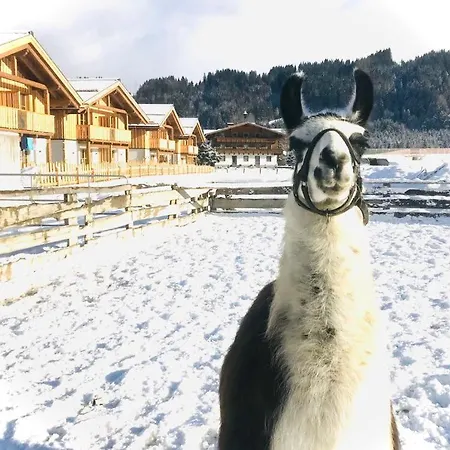 Hotel Sieglhub - - Flachau