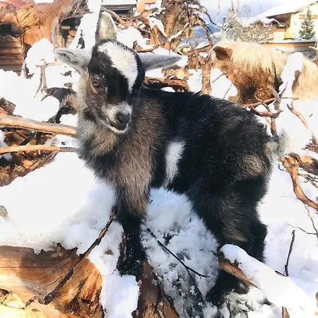 Sieglhub - - Hotel 3*