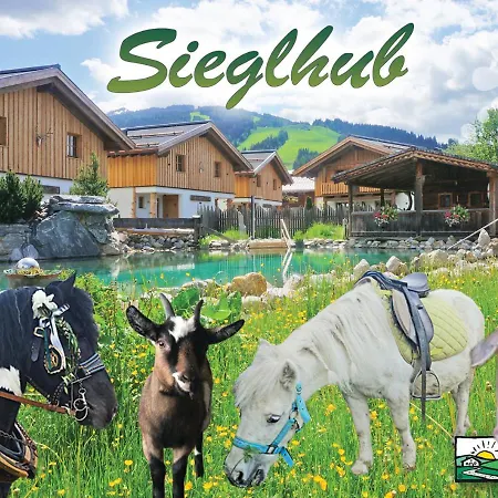 Sieglhub Chalets - Appartements - Hotel Flachau