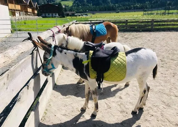 Szálloda Sieglhub - -