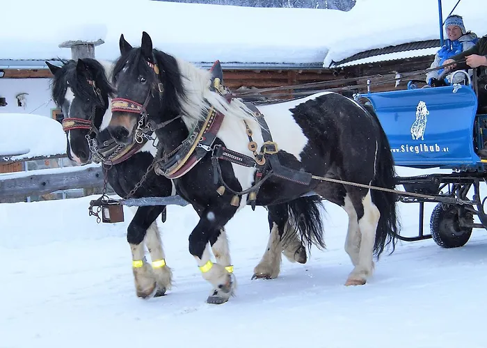 Szálloda Sieglhub - - 3*